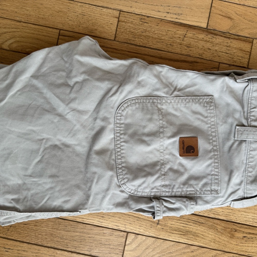 Carhartt cargo baggy pants